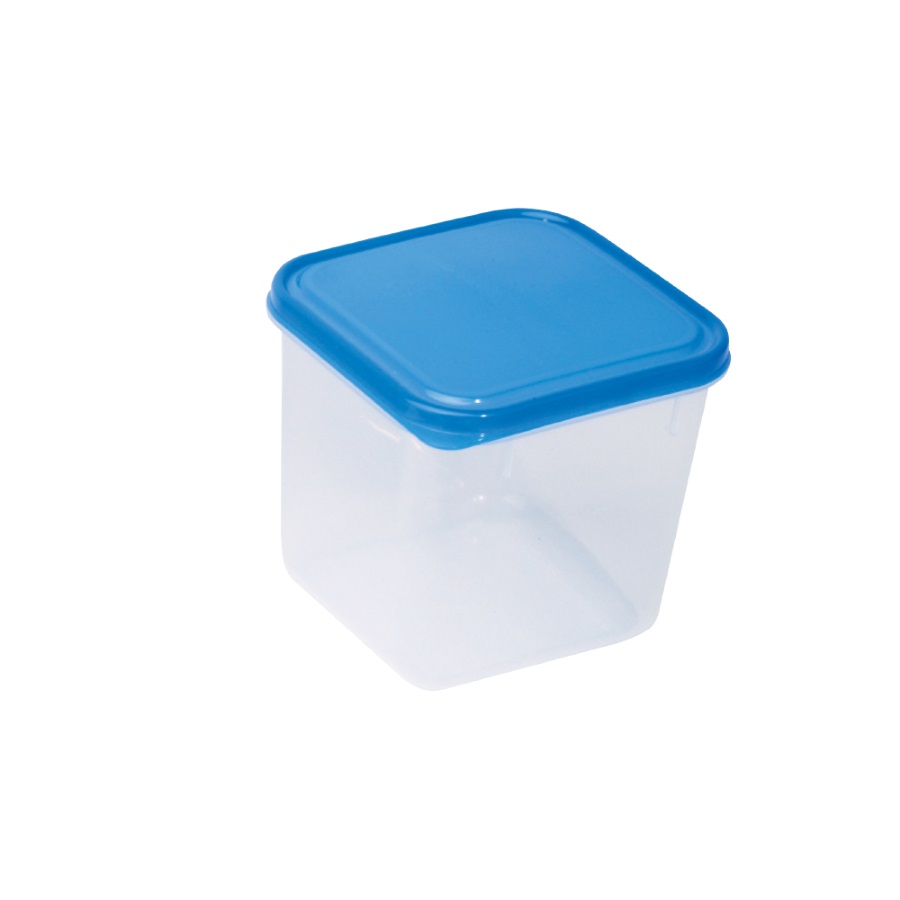 Pudełko wielofunkcyjne i do głębokiego zamrażania Pudełko wielofunkcyjne i do głębokiego zamrażania