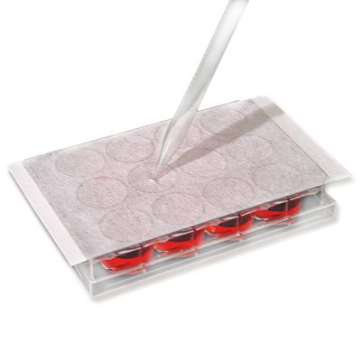 Błona uszczelniająca AeraSeal™ do kultur komórkowych - ze sztucznego jedwabiu