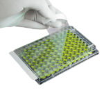 Folie uszczelniające SealPlate™ i ThinSeal™ do płytek - z PS - b-1434 - folie-uszczelniajace-sealplate-do-testow-elisa-eia - ps - 50-%c2%b5m - niesterylne - 100-szt