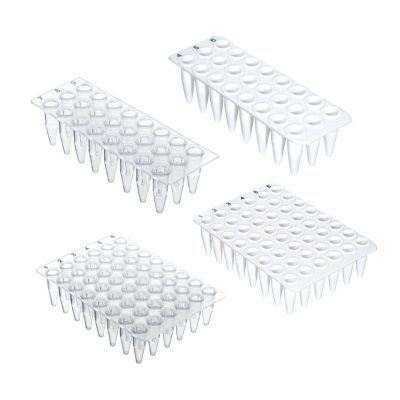 Płytki do PCR 24- i 48-dolkowe, non-skirted