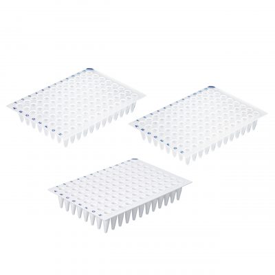 Płytki do PCR, 96-dołkowe, non-skirted