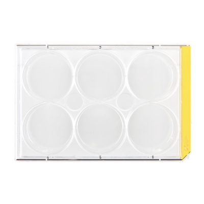 Płytki testowe do hodowli komórkowych