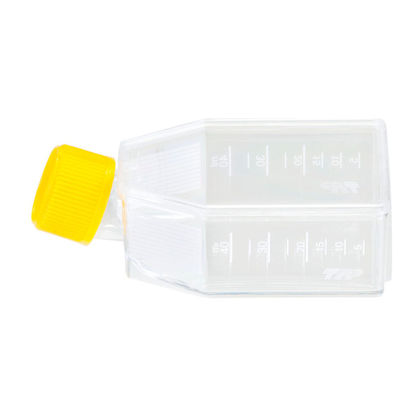 Butelki do hodowli komórkowych - b-0670 - butelki-do-hodowli-komorkowych-z-zakretka-z-wentylacja - 25-cm%c2%b2 - 60-ml - 36-x-10-szt - 90025