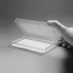 Replikatory TSP do płytek 96-dołkowych - n-0338 - replikatory-tsp-do-plytek-96-dolkowych - 50-szt