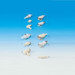 Szybkozłączki termoplastyczne - 2-1862 - szybkozlaczki-termoplastyczne - zenska-18-o - 40-mm - tak - 4