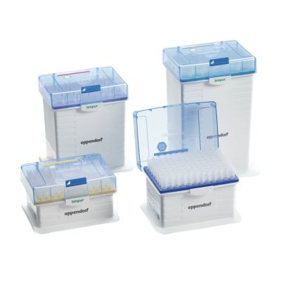 Końcówki Eppendorf - epT.I.P.S. Rack Biopur