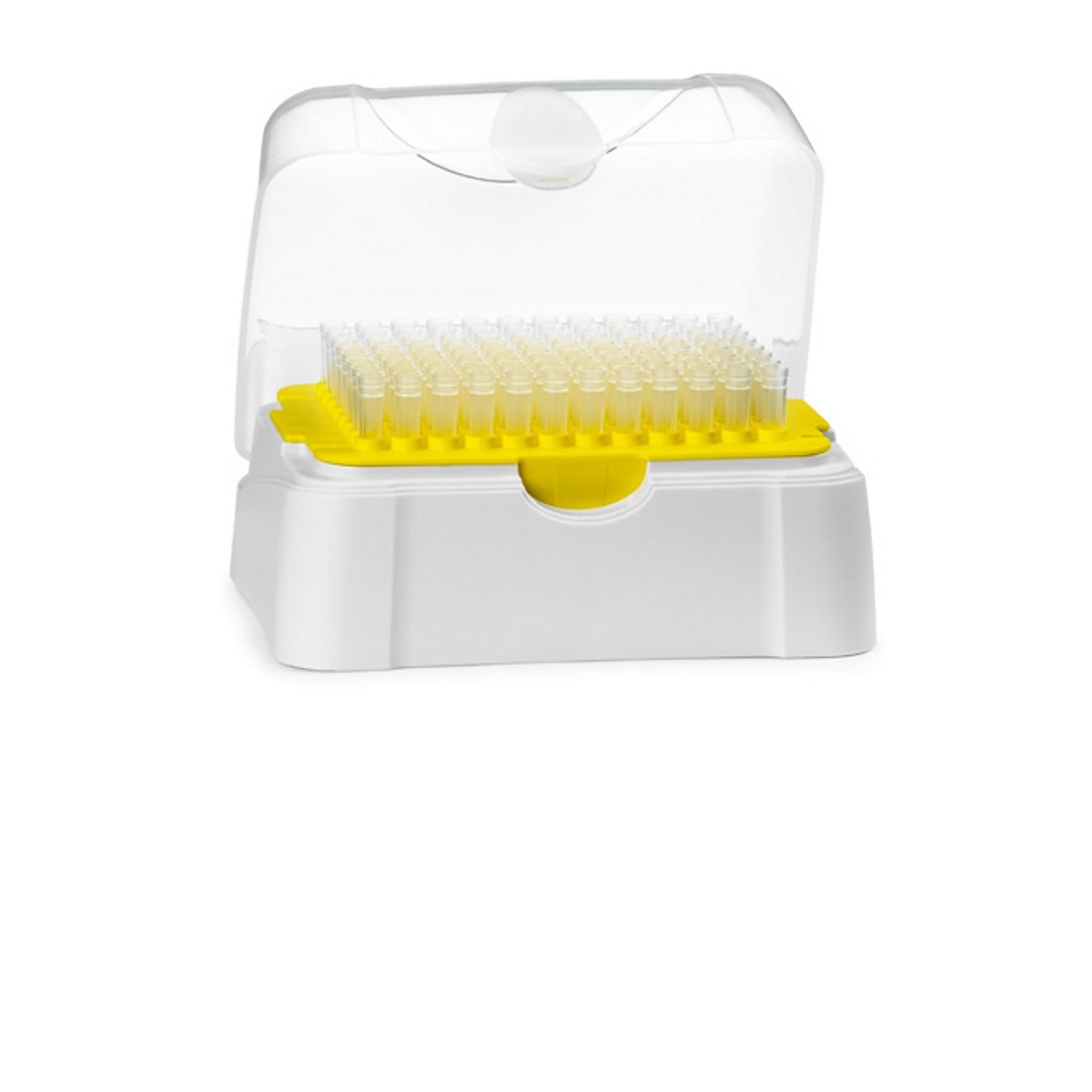 Końcówki do pipet Thermo Scientific