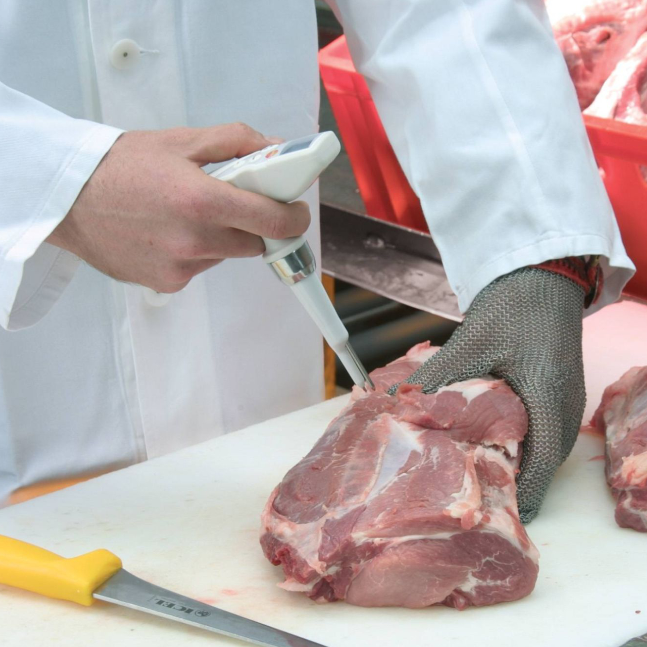 pH-metr Testo 205-5 pH-metr Testo 205-5