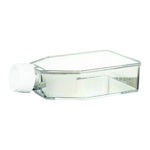 Butelki do hodowli komórkowych neoCulture - z zakrętkami z membraną - c-8204 - butelki-z-ps-do-hodowli-komorkowych - z-zakretka-z-filtrem - 75-cm%c2%b2 - 293-ml - 20-x-5-szt - 100-szt