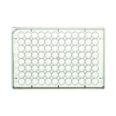 Płytki wielodołkowe neoCulture