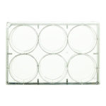 Płytki wielodołkowe neoCulture - c-8210 - plytki-do-hodowli-komorkowych - 6-dolkow - 1700-ml - f-ksztaltne - pak-ind - 100-szt