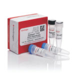 Platinum™ Taq DNA Polymerase - 10966-018 - platinum-taq-dna-polymerase - 120-reakcji - 10966-018