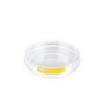 Szalki z PS do hodowli tkankowych - b-6662 - szalki-do-hodowli-tkankowych - 60-mm - 16-mm - 221-cm%c2%b2 - 60-x-14-szt - 840-szt - 93060