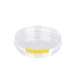 Szalki z PS do hodowli tkankowych - b-6663 - szalki-do-hodowli-tkankowych - 96-mm - 21-mm - 601-cm%c2%b2 - 24-x-10-szt - 240-szt - 93100