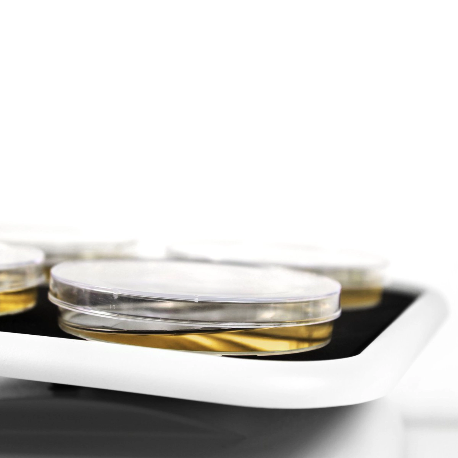 K-7770 Wytrząsarka kołyskowa MR-1 04 K-7770 Wytrząsarka kołyskowa MR-1 04