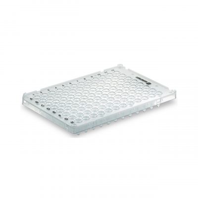 Płytki Multiply® do PCR - z półkołnierzem