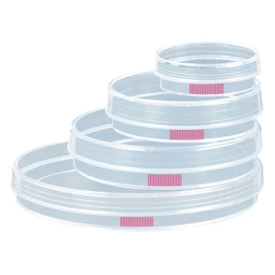 Szalki z PS do hodowli adherentnej