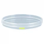 Szalki Cell⁺ z PS do hodowli adherentnej - j-4314 - szalki-cell-z-ps-do-hodowli-adherentnej - 150-x-20-mm - 152-cm%c2%b2 - tc-tested - 20-szt - 83-3903-300