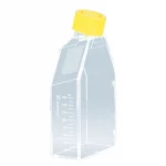 Butelki Cell⁺ z PS do hodowli adherentnej - j-4343 - butelki-cell-z-ps-do-hodowli-adherentnej - zakretka-dwupozycyjna-bez-filtra - 75-cm%c2%b2 - 250-ml - tc-tested - 100-szt - 83-3911-300